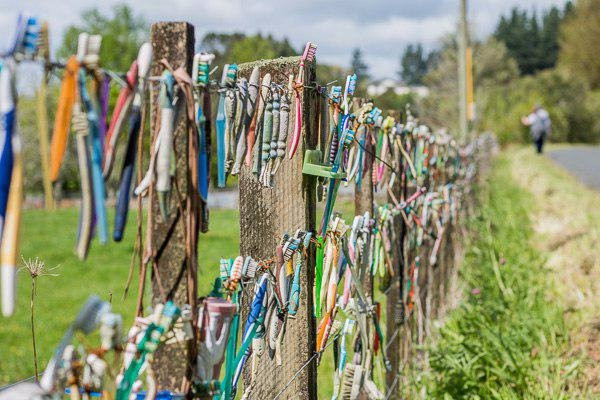 The Toothbrush Fence