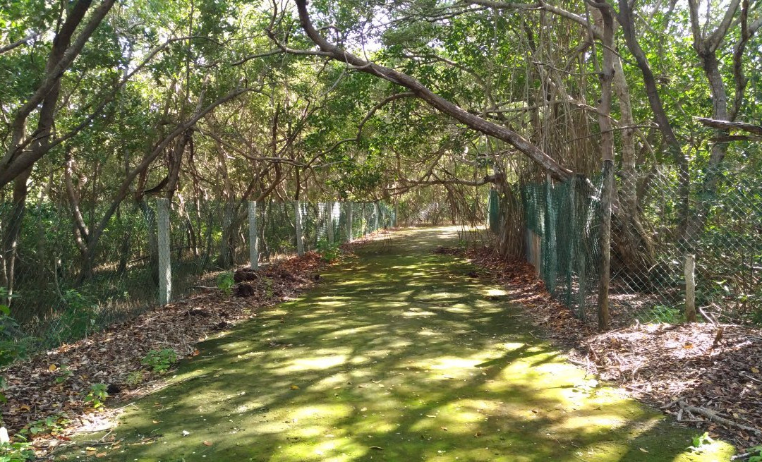 Parque Ecoturistico Jaltun