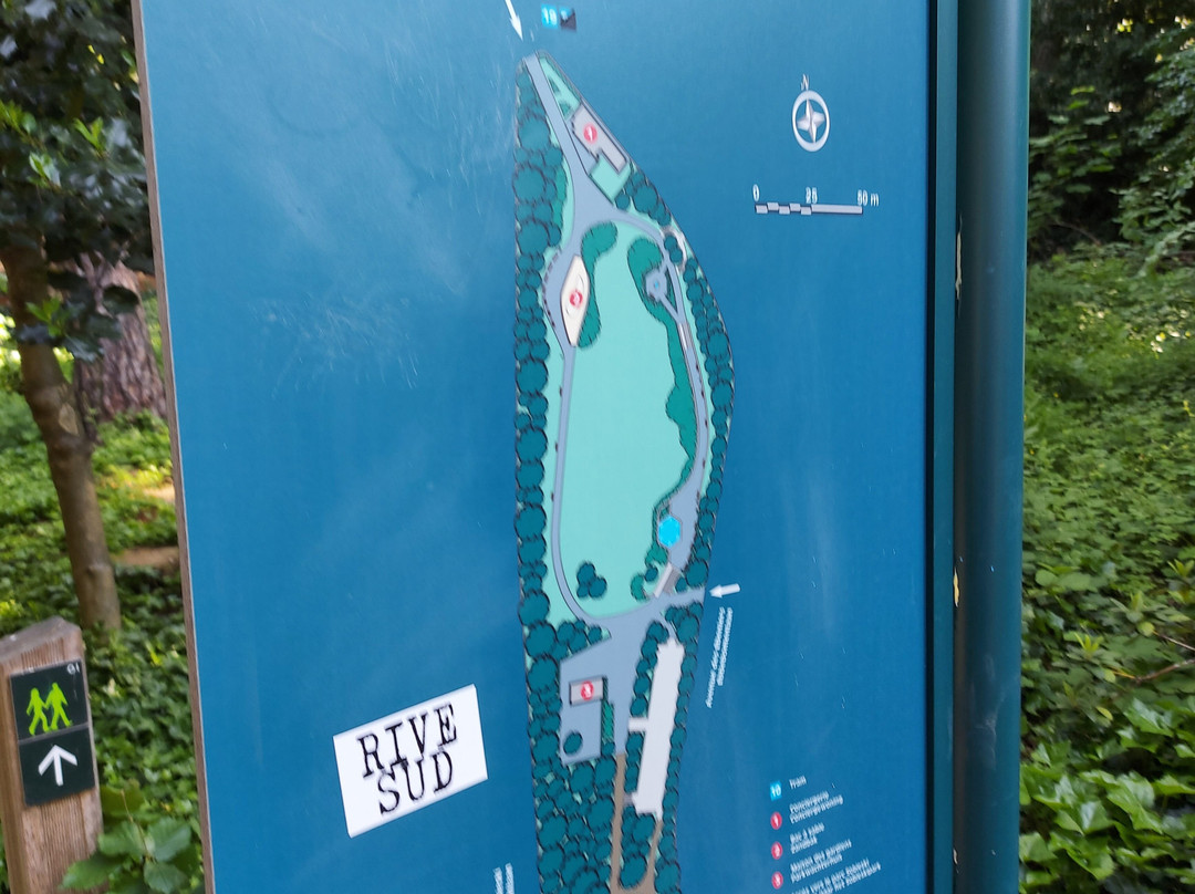 Sobieski Park景点图片