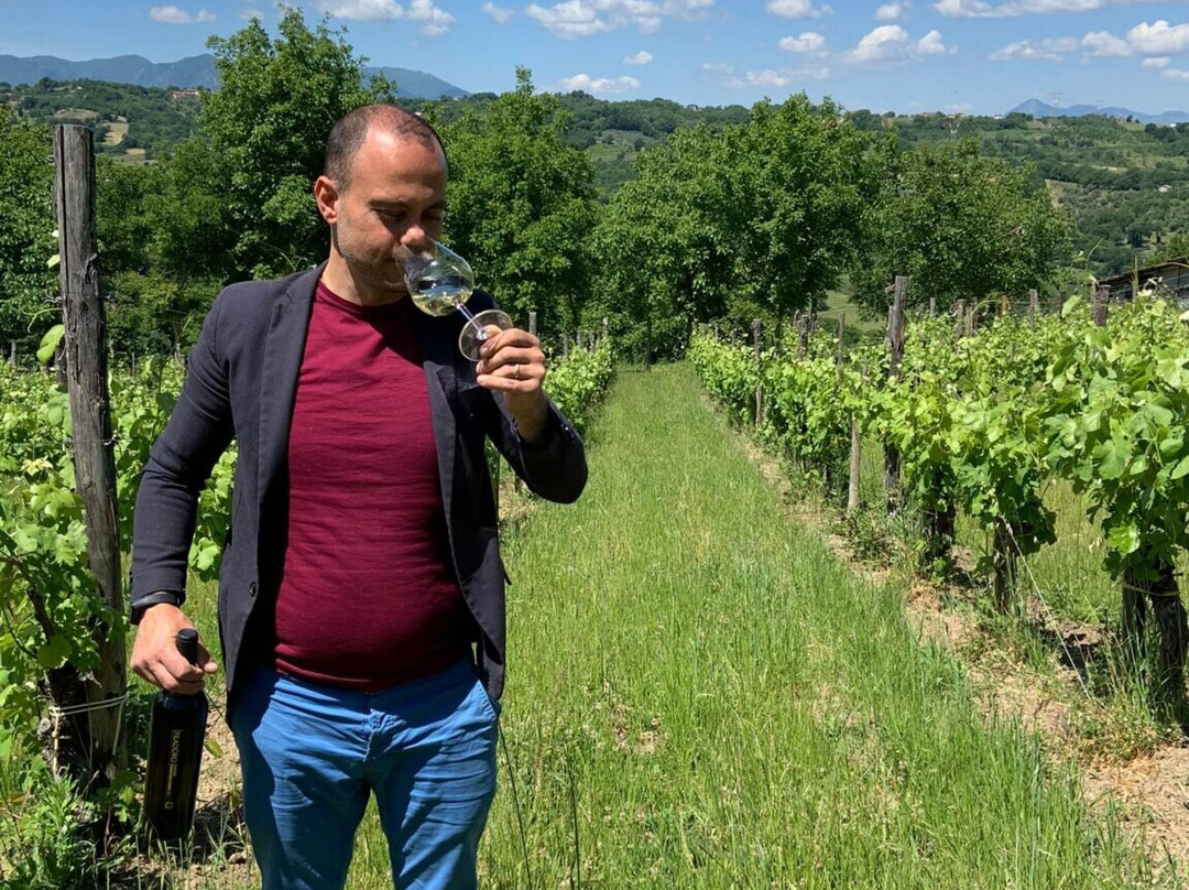 Azienda Agricola Filadoro-Lapio必去景点