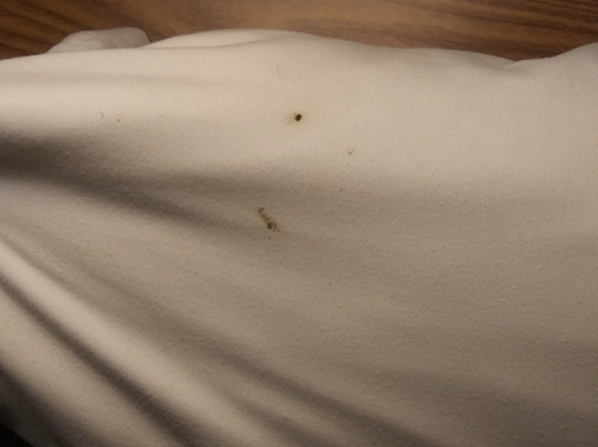 Super 8 by Wyndham Warroad