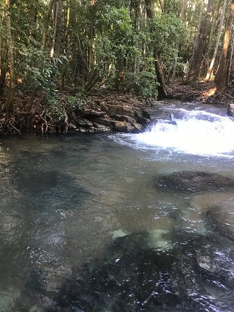 Northern Territory Indigenous Tours景点图片