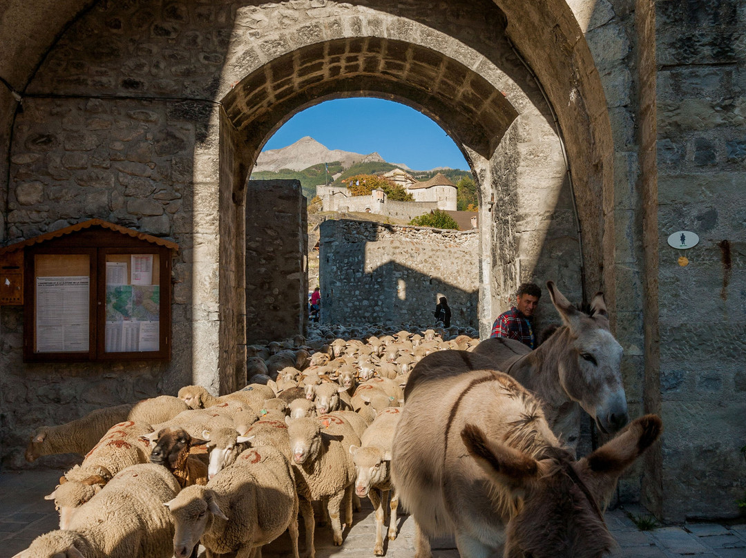 Verdon Tourisme - Accueil touristique de Colmars-les-Alpes景点图片
