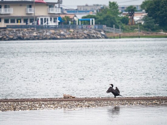 The Coastal Center at Milford Point-米尔福德必去景点