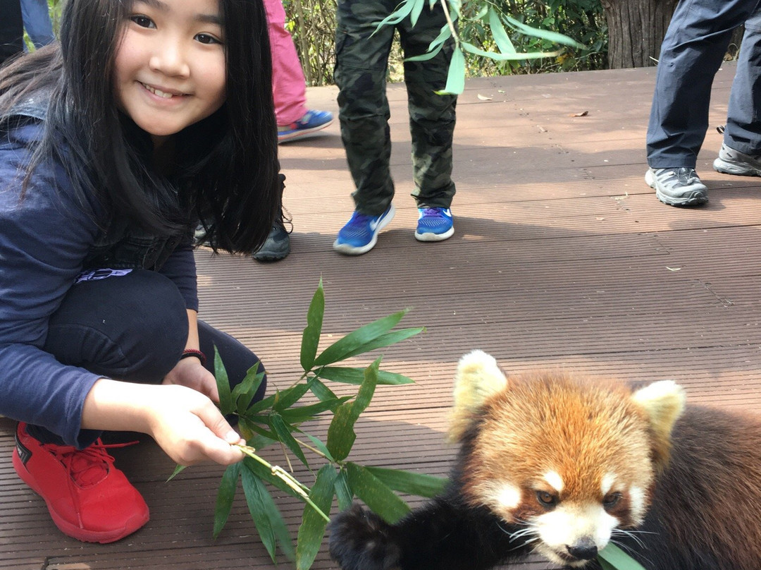 莱阳河国家森林公园-普洱市必去景点