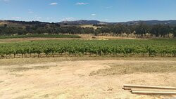 Bigibila Wines-Moonambel必去景点