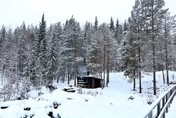 Mardseleforsen-Amsele必去景点