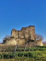 Donjons De Beaumont Ou Tour Négreteau景点图片