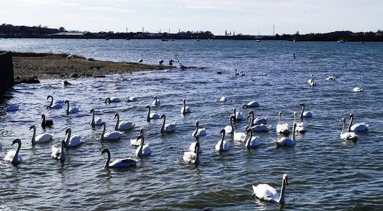 The Walls, Mistley Towers景点图片