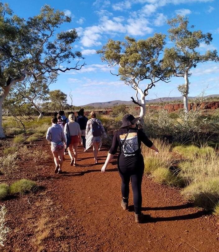 Why Not Bus-珀斯必去景点