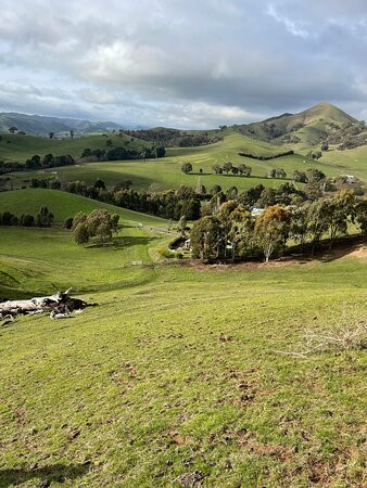 Strath Valley View Bed & Breakfast主图