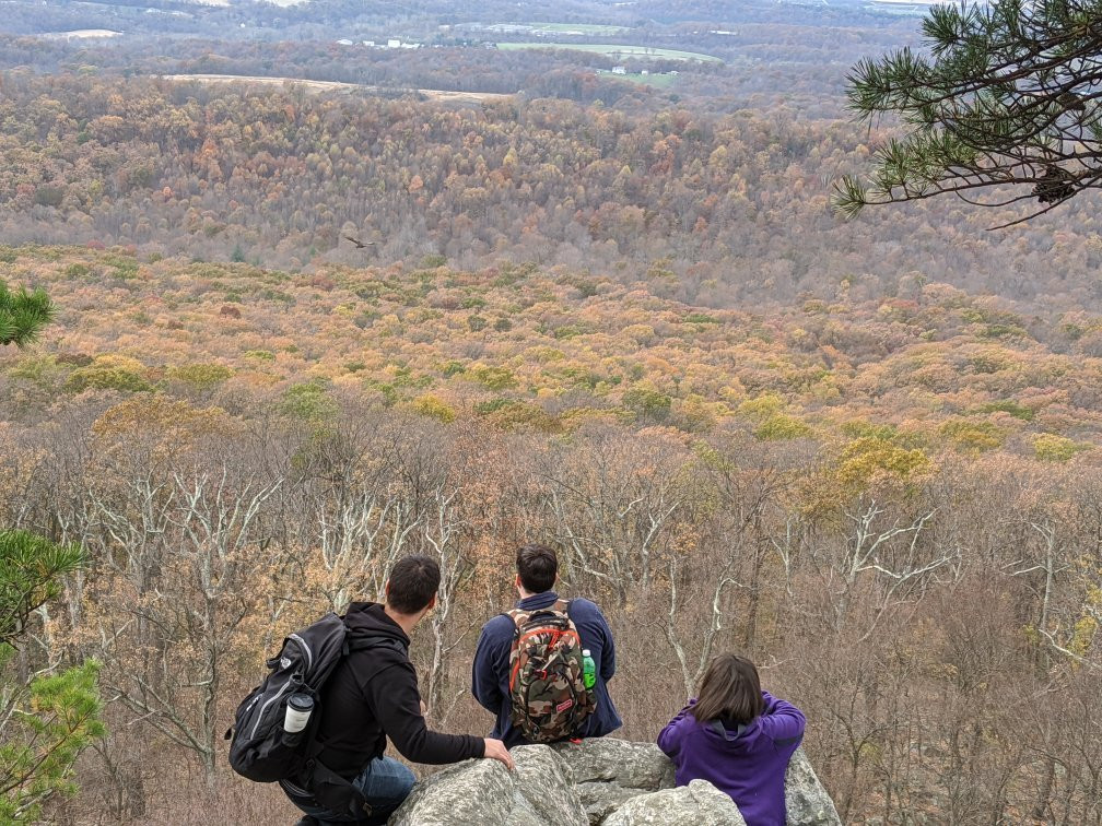 Sugarloaf Mountain-Dickerson必去景点