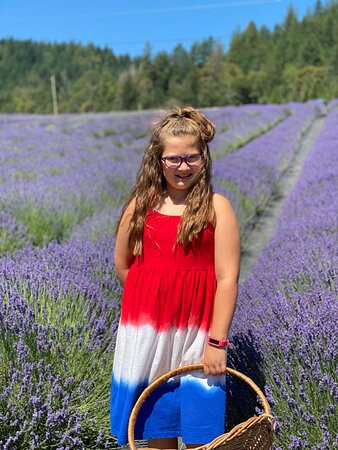 The English Lavender Farm景点图片