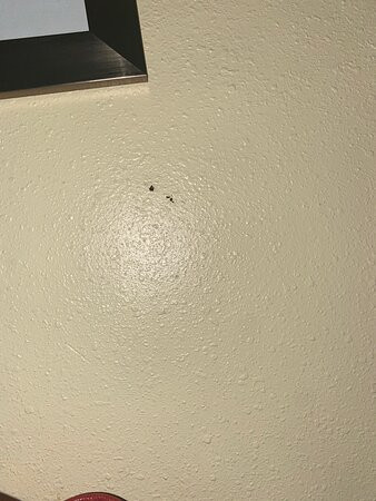 Days Inn by Wyndham Barnwell主图