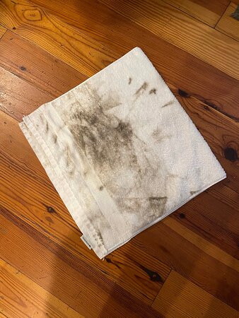 The Beaufort Inn主图