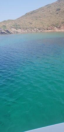 Pachira Tours-Fornells必去景点