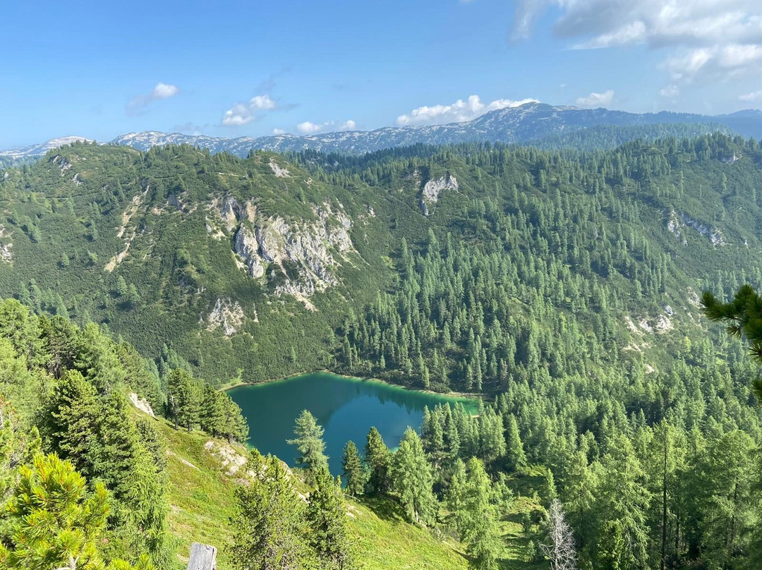 赫尔次伟格旅馆