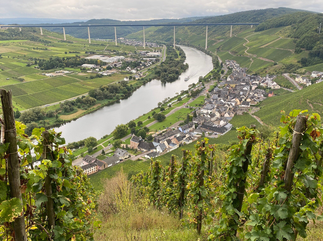Weingut Erbes-Henn