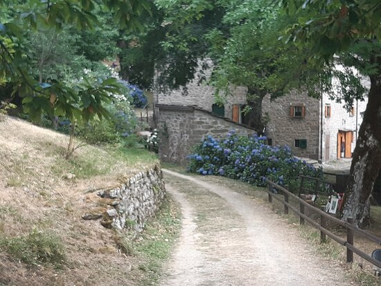 Borgo di Tresana景点图片
