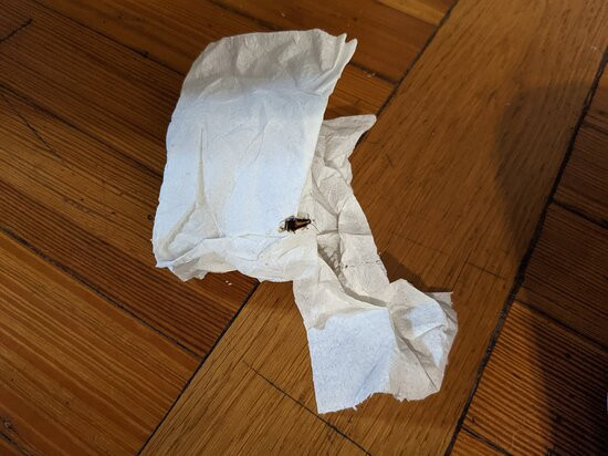 圣安东尼奥阿拉莫靛蓝酒店主图