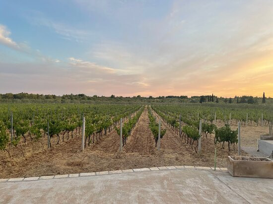 BARAKA Winery-希贝尼克必去景点