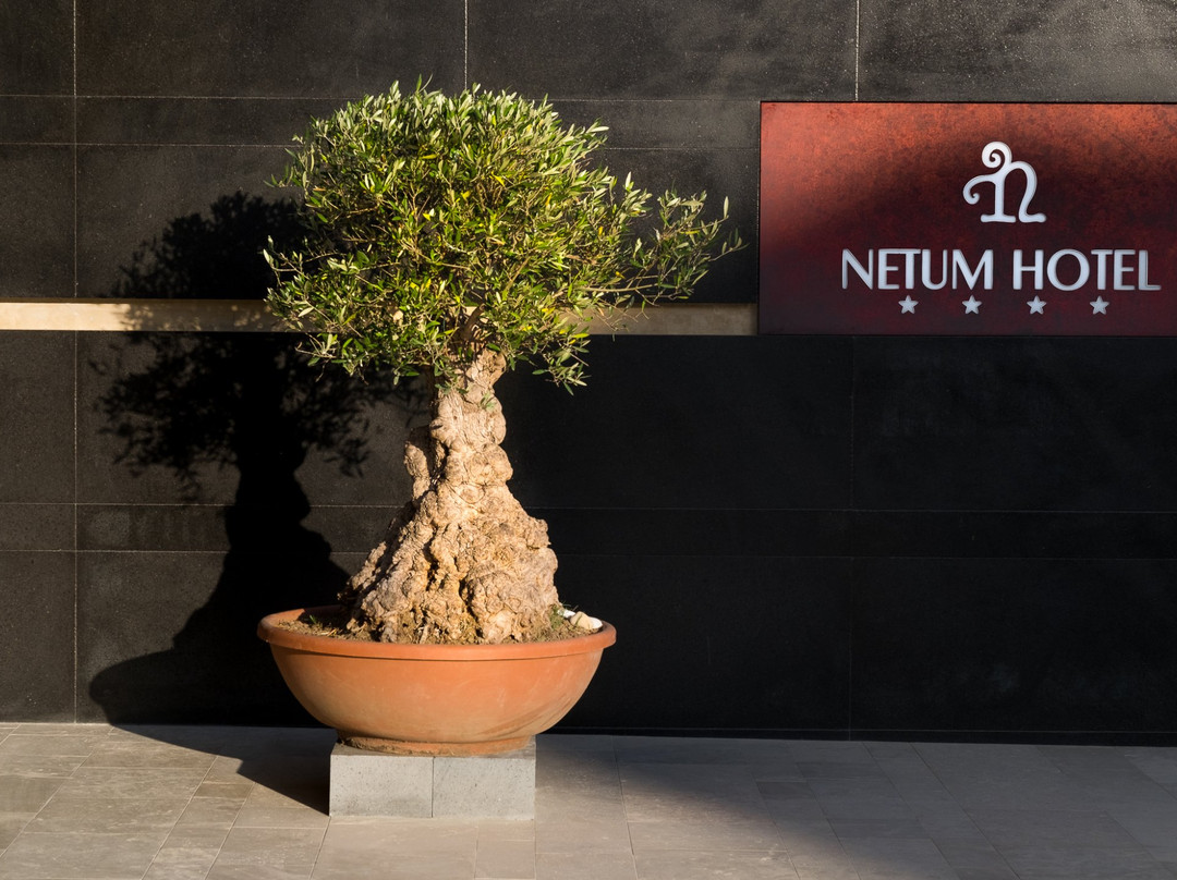 Netum Hotel主图