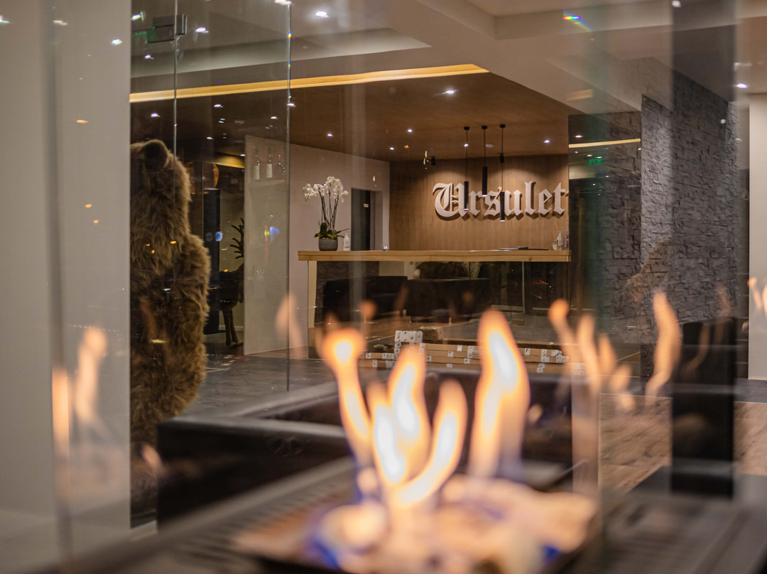 Hotel Ursuletul
