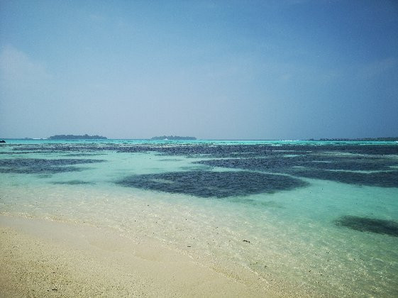 Luxury Beach Maldives主图