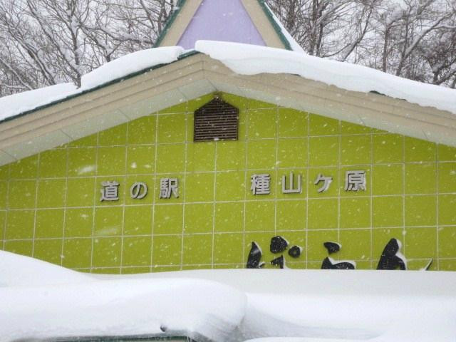 Michi-no-Eki Taneyamagahara-住田町必去景点