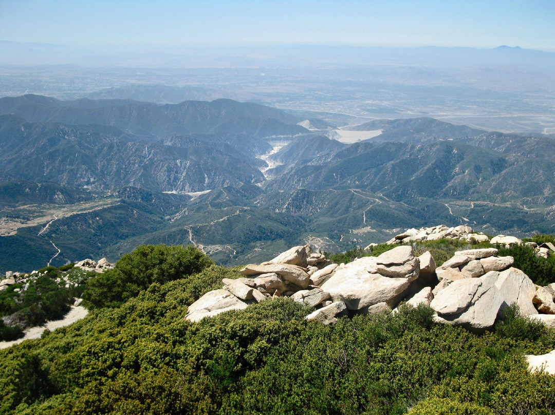 Angelus Oaks旅游攻略图片