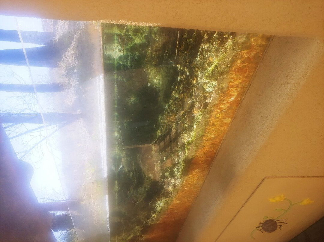 Warm Springs Natural Area