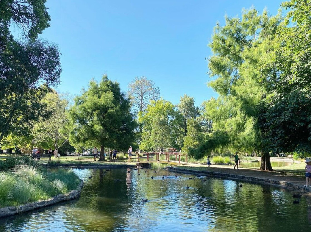 Cook Park景点图片