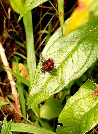 Villa Luney-恩维加多必去景点
