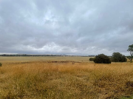 Lake Goldsmith-Beaufort必去景点