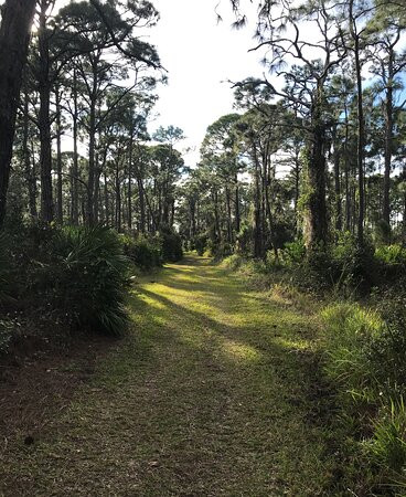 Cedar Point Environmental Park-恩格尔伍德必去景点