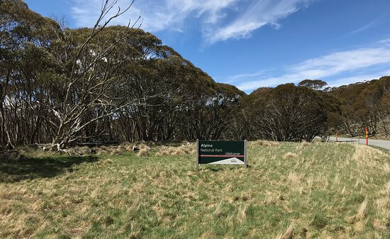 Alpine National Park景点图片