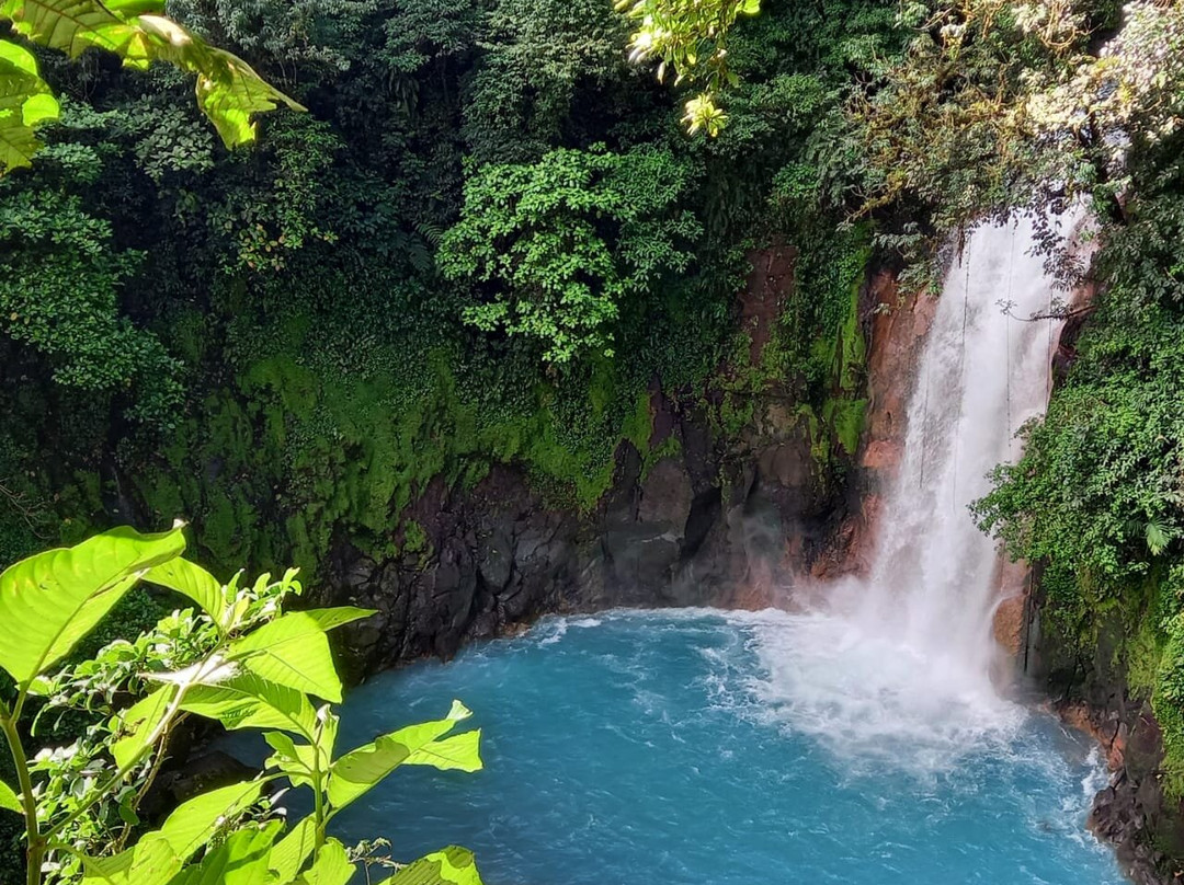 Mon Paradis Costa Rica