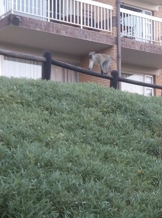 Protea Hotel Karridene Beach主图