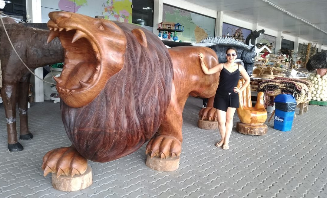 Hotel e Parque Das Tuias主图