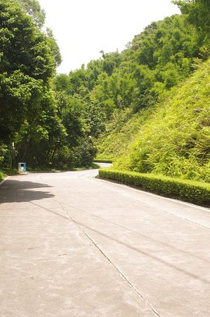 帽峰山森林公园-广州市必去景点