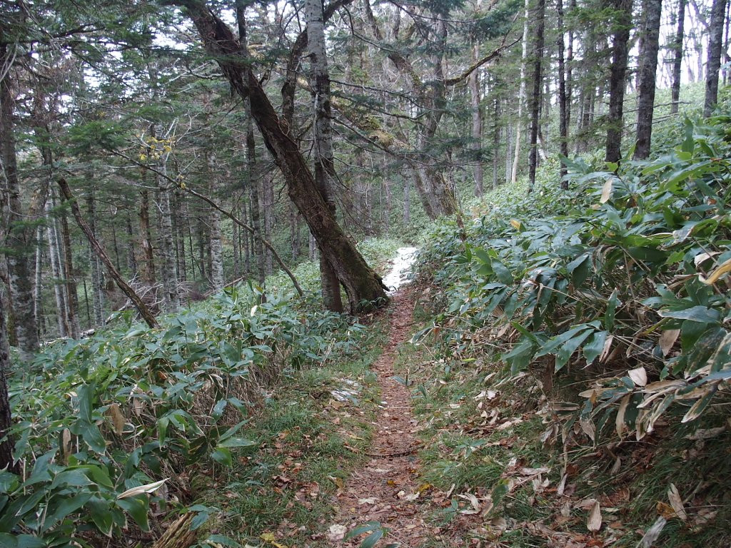 Biruwa Mashu Trail