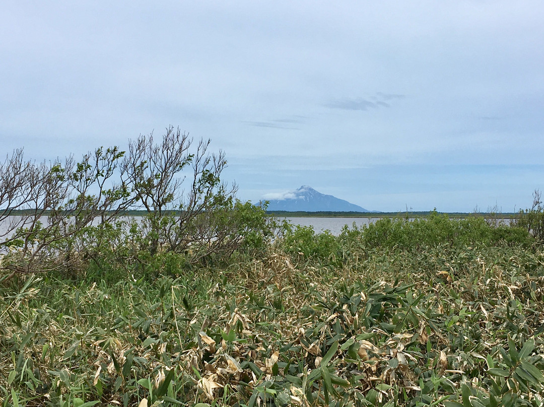 Horonobe Visitor Center-幌延町必去景点