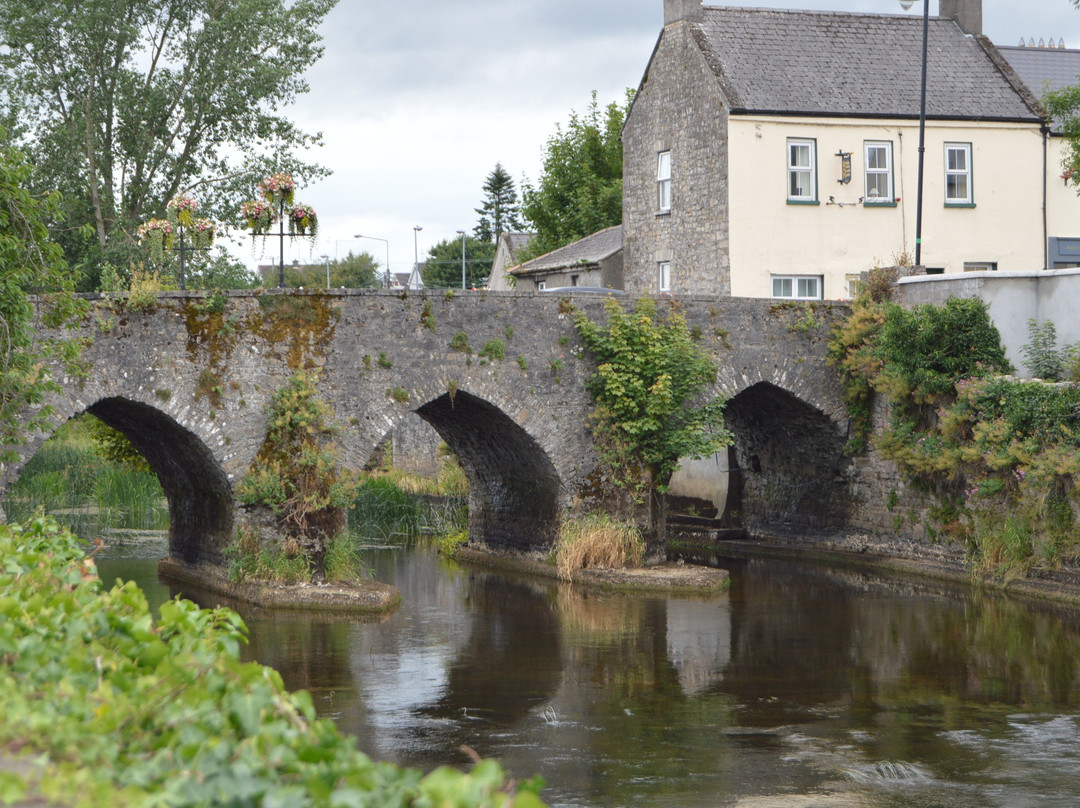 Ireland's Oldest Bridge景点图片