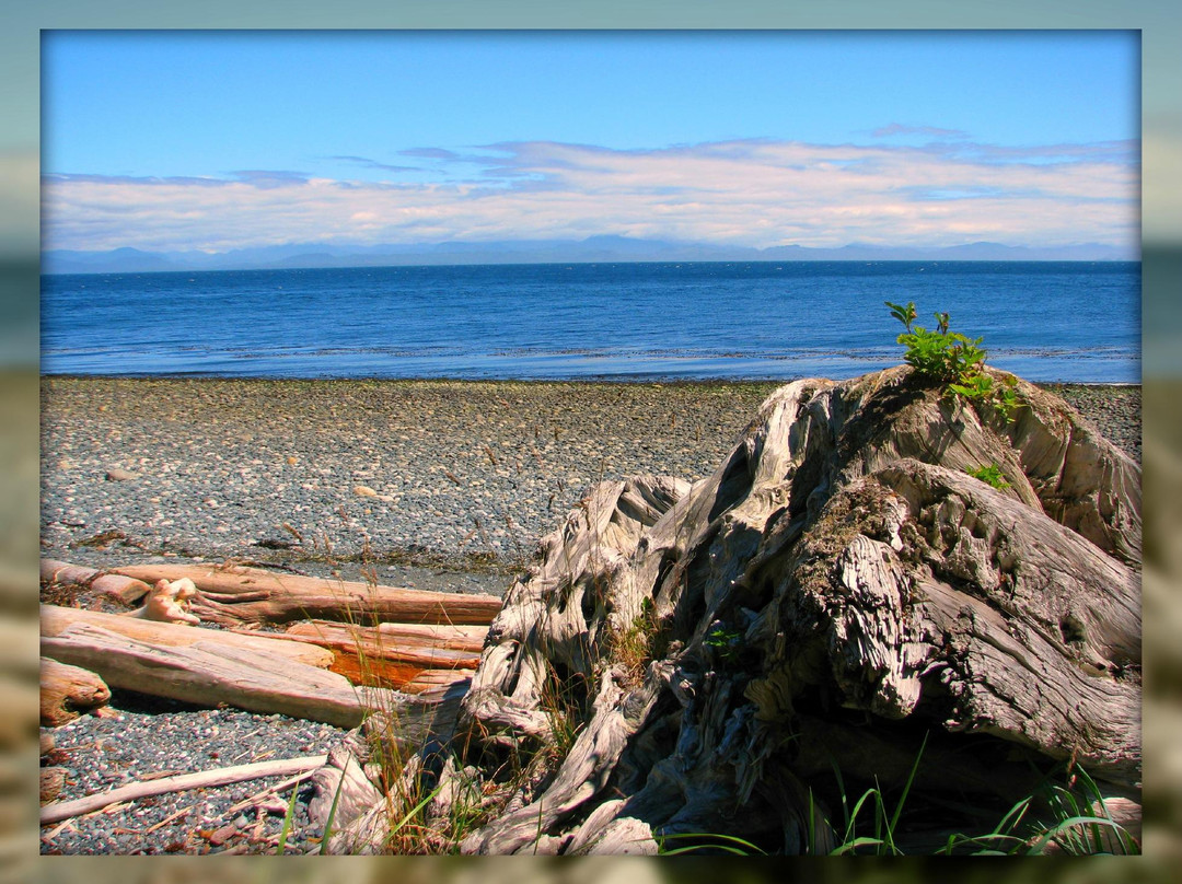 Beautiful Bay Trail景点图片