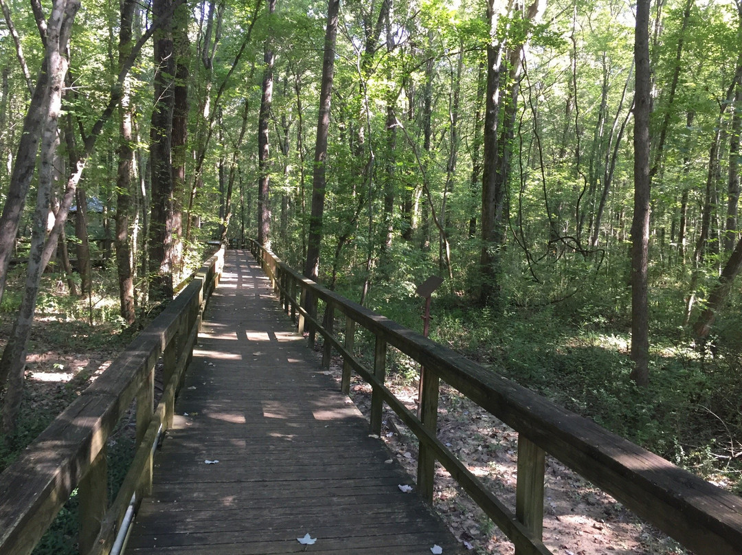 Cypress Grove Nature Park景点图片