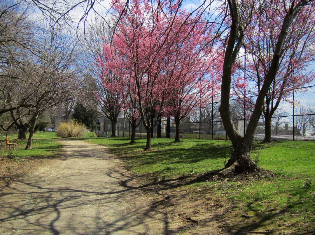 Arboretum at Haverford College景点图片