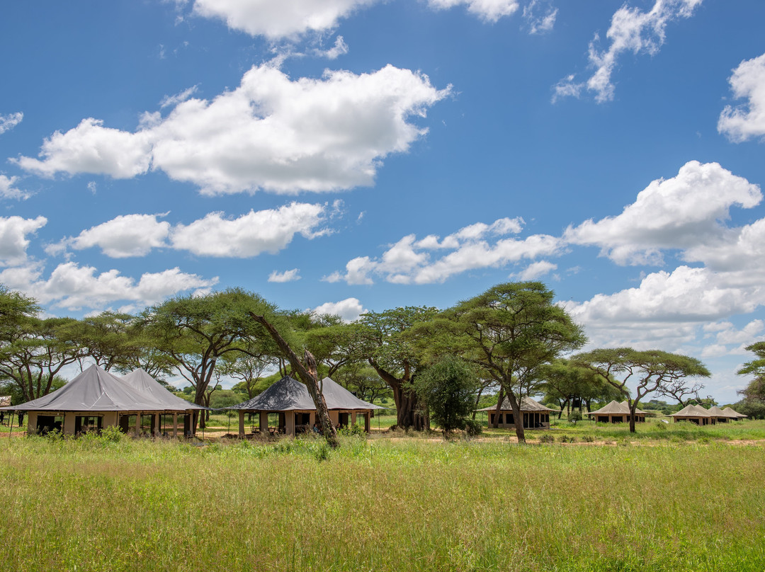 Lolkisale Camp, Topguides Bush Camps