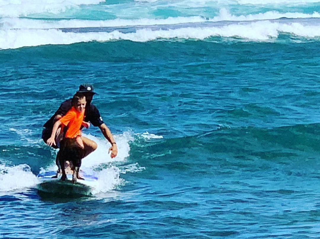 Hawaii Surf Dogs-卡胡库必去景点