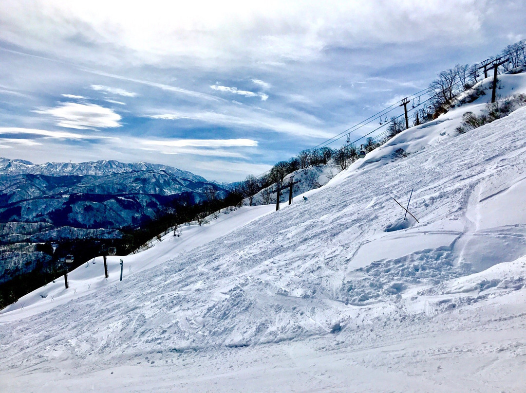 Iox Arosa