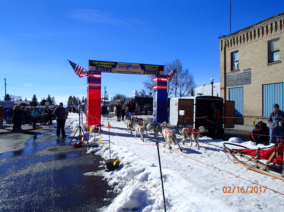 American Dog Derby景点图片